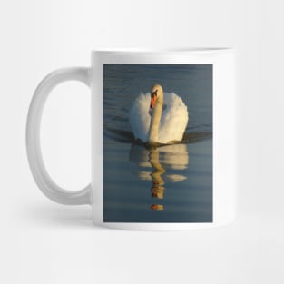 Mute Swan Mug